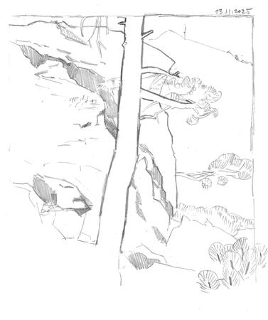 Nature Sketch